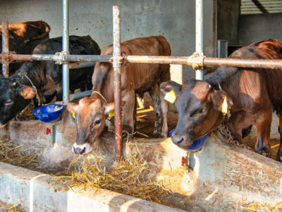 Agriturismo La Peppina
